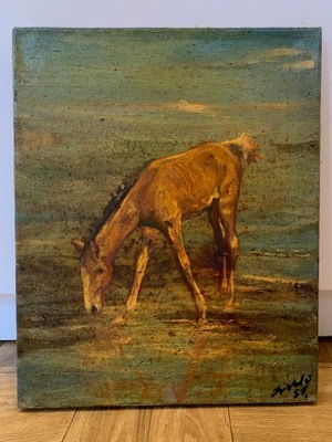 Obraz olejny "Pasący się koń" Marian Osiecki