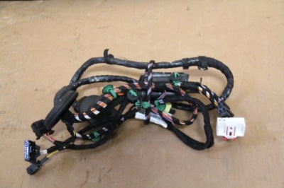 Джгут двері перед лівий vw passat b8 3g1971120ds фото №1