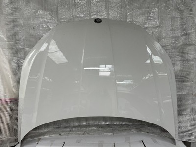 Skoda octavia 4 iv капот фото №1