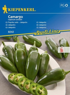 Papryka Jalapeno 'Camargo' – Kiepenkerl