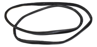 Прокладка гумовий елемент двері правий задня scenic ii 2 фото №1