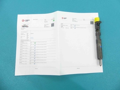 Test форсунка renault kangoo ejbr02101z 1.5 dci фото №1