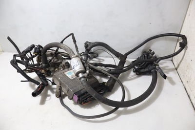 Электропроводка lpg honda civic vii 1.6 фото №1