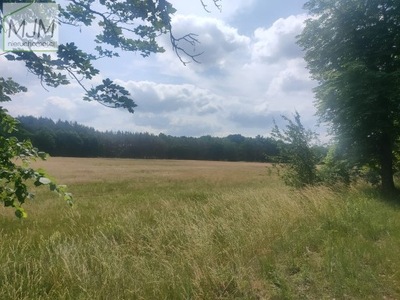 Działka, Rekowo, Kobylanka (gm.), 1000 m²