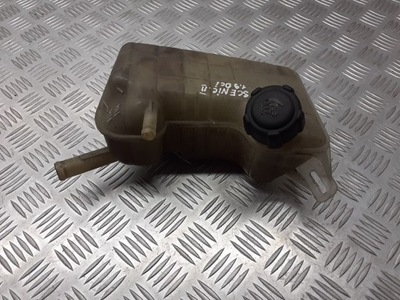 Бачок расширительный renault megane scenic 8200262036 фото №1
