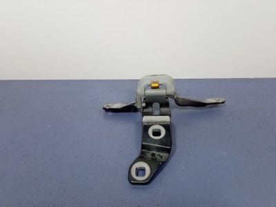 Bmw 5 gt f07 петля задній кришки правий 7200534 фото №1