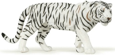 Tygrys biały