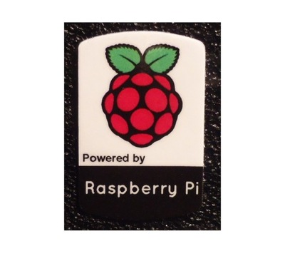 Naklejka Raspberry Pi 19 x 28 mm 306