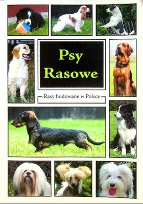 Psy rasowe Rasy hodowlane w Polsce