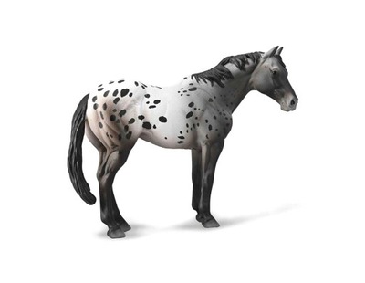 NIEBIESKI DERESZ APPALOOSA, COLLECTA