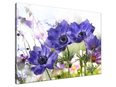 Obraz drukowany 70x50cm Kwiaty w ogródku