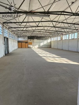 Magazyny i hale, Rzepin, 450 m²