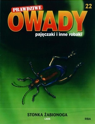 PRAWDZIWE OWADY, PAJĘCZAKI 22 STONKA ŻABINOGA