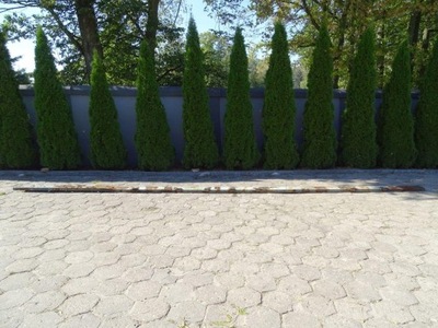 Daf lf 45 55 01-13 рама левая балка bok 19,5 949x26 cm фото №1