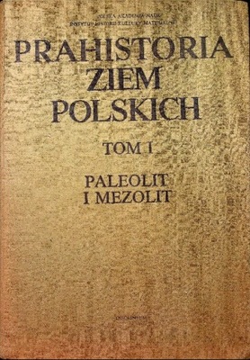 Prahistoria ziem Polskich Tom I Paleolit i