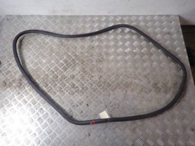 Прокладка двері лівий задня porsche panamera i 970 4.8 eu 12636 фото №1