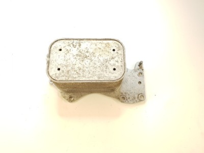 A4 b8 радіатор оливи оригінал 059 117 021 k фото №1