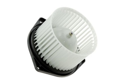 EWN-MS-000 NTY FAN FAN AIR NTY  