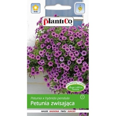 Petunia zwisająca fioletowa 0,05g