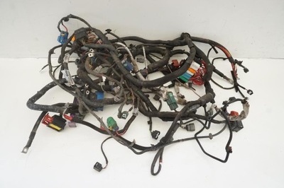 Джгут електропроводка двигуна renault laguna iii 3.5 фото №1