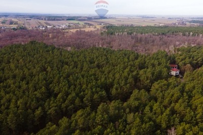 Działka, Ziewanice, Głowno (gm.), 1966 m²