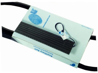 Ремінь багатореберний blue print ad04r1183 фото №1