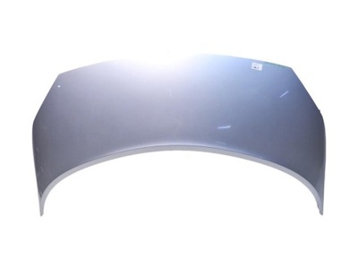 Капот ted69 renault scenic ii фото №1