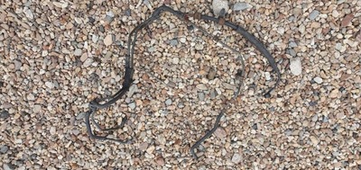 Kia sorento 2.5 шланг кондиціонера фото №1