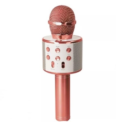 FOREVER MIKROFON Z GŁOŚNIKIEM BMS-300