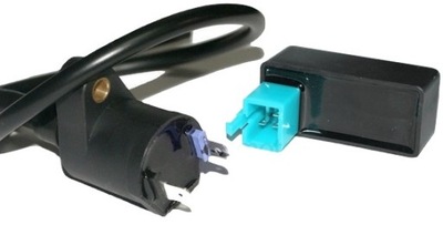 アーティファクト ZX TORSION - スニーカーショップSKIT