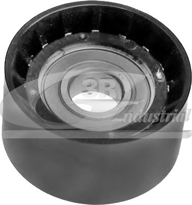 3RG 13643/RGI РОЛИК РЕМНЯ MICRO-V 