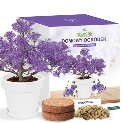 Zestaw do uprawy Bonsai Drzewko szczęściaPaulownia NASIONA