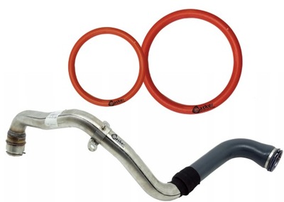 Уплотнители трубка turbo renault laguna 2.0 dci фото №1