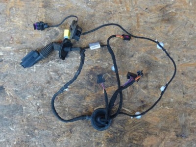 Audi a4 b8 8k джгут електропроводка двері права перед передня 8k0971030ap фото №1
