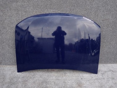 Dacia duster i 10- капот фото №1