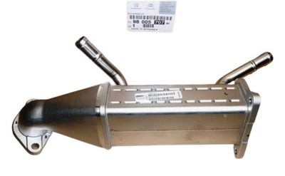 Chłodnica Spalin C Jumper III 2,2 HDI 9800570780 Nowy Oryg - milautoparts-fr.ukrlive.com