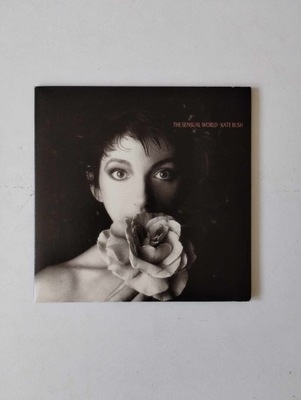 11x CD: KATE BUSH – Remastered Part II/ BOX 16772309278