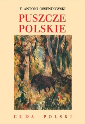 Cuda Polski Puszcze polskie