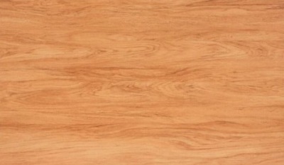 Panele CLASSEN Extreme Teak Rangoon 26297