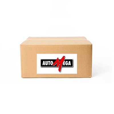 Automega 110086810 Zestaw łożysk koła - milautoparts-fr.ukrlive.com