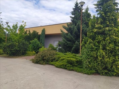 Magazyny i hale, Skierniewice, 522 m²