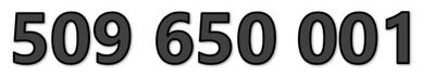 509 650 001 ORANGE STARTER ZŁOTY ŁATWY PROSTY NUMER KARTA SIM GSM PREPAID