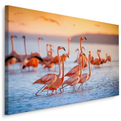 Obraz canvas ptaki tropikalne FLAMINGI woda 100x70