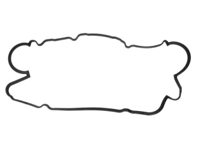 Victor reinz 71-53538-00 прокладка, кришка головки циліндрів фото №1