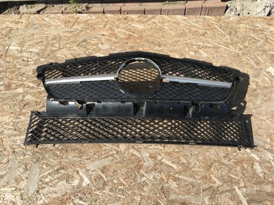 Решітка радіатора решітка радіатора a1728880160 mercedes slk w172 фото №1