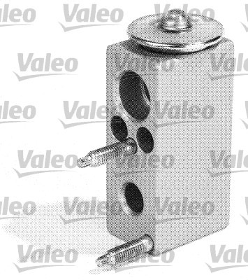 VÁLVULA DE EXPANSIÓN DE ACONDICIONADOR CITROEN C2/C3 02- VAL509511  