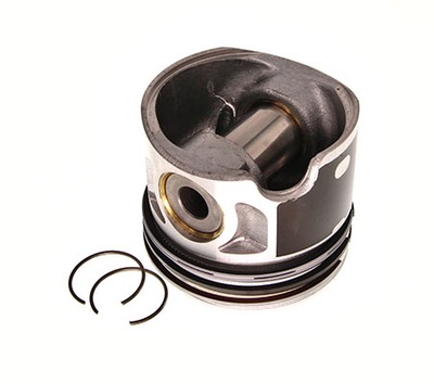 Поршень vw 1,9tdi 79,51 std фото №1