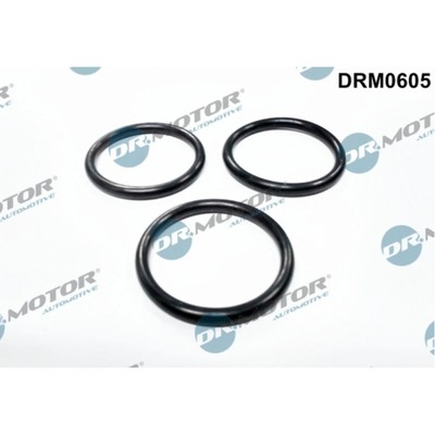 USZCZELNIENIE, BOMBA DE REFRIGERACIÓN DR.MOTOR AUTOMOTIVE DRM0605  