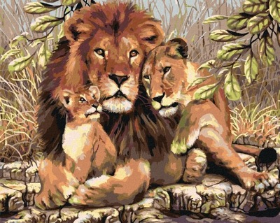 Haft Diamentowy Król Lew Dziki Kot Rodzina Zwierzęta Natura DUŻY 60 x 80 cm