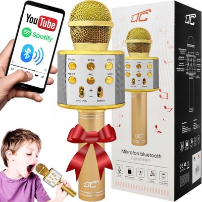 MIKROFON DLA DZIECI BEZPRZEWODOWY KARAOKE GŁOŚNIK